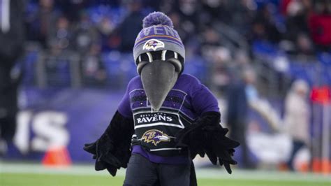 Join the Realm of Ravens: Mascot Recruitment Underway